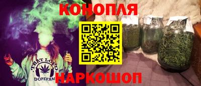 прущие крисы Моздок