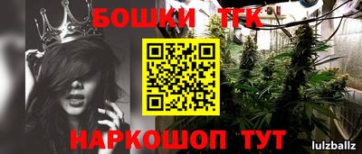 прущие крисы Моздок