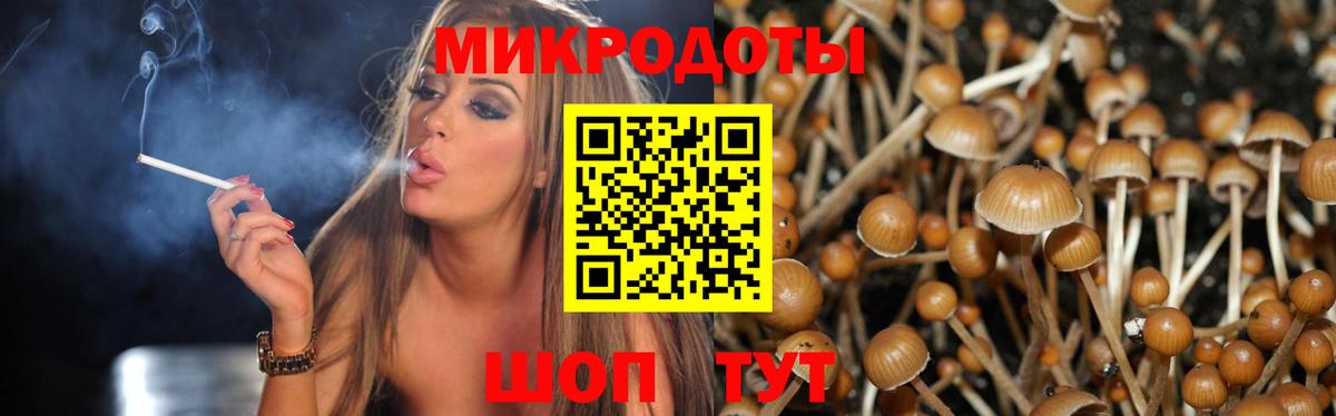 Галлюциногенные грибы мицелий Фролово
